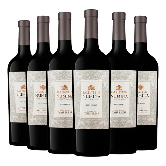 Vino Salentein Numina Petit Verdot Tinto Valle De Uco X6