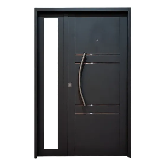 Puerta Frente Inyectada Reforzada Doble Chapa 1.20 X 200