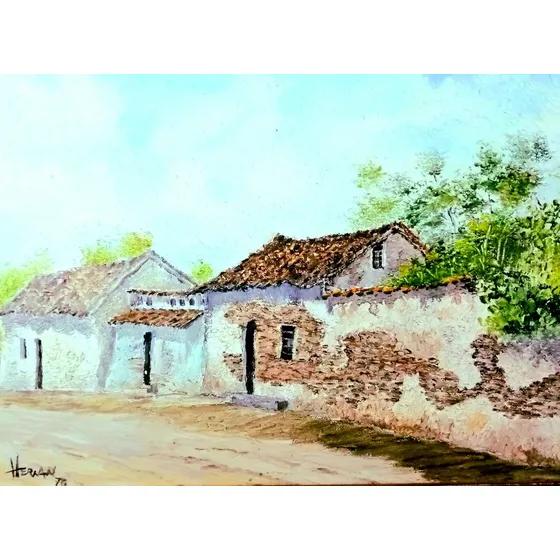 Cuadro  Casas Coloniales . Arte Larense. Espectacular!