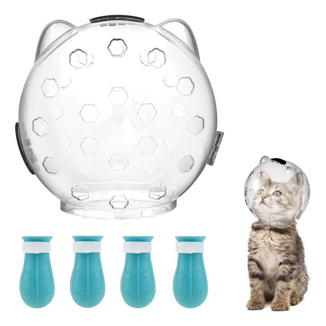Bozal De Gato, Casco Transparente Con 4botas, Ajustable 2024