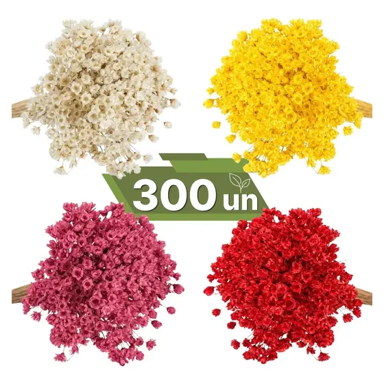 Kit C/300un De Sempre Viva Cor Sortidas Flor Desidratada Decoração Casa E Casamento