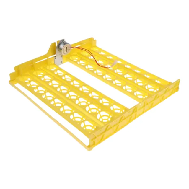 Incubadora De 63 Piezas Bandeja Automática De 63 Huevos  