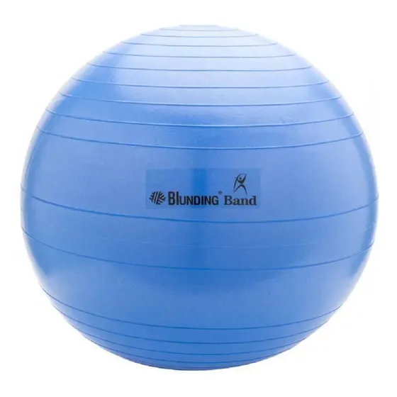 Balon De Ejercicios Pilates 55cm Con Bombin Blunding