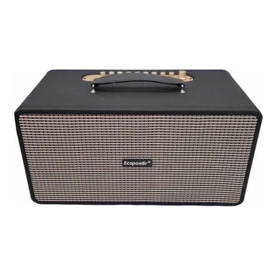 Caixa De Som Karaokê E Palestra Ecopower 1929 Com 2 Mic Cor Preto 127/220v