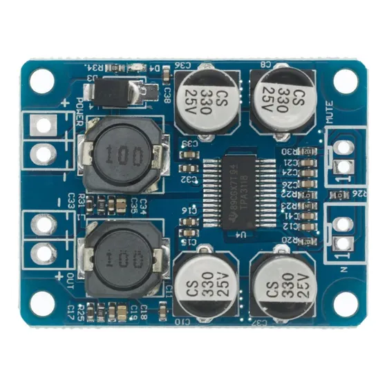 Amplificador Digital De Audio Mono Tpa3118 60w