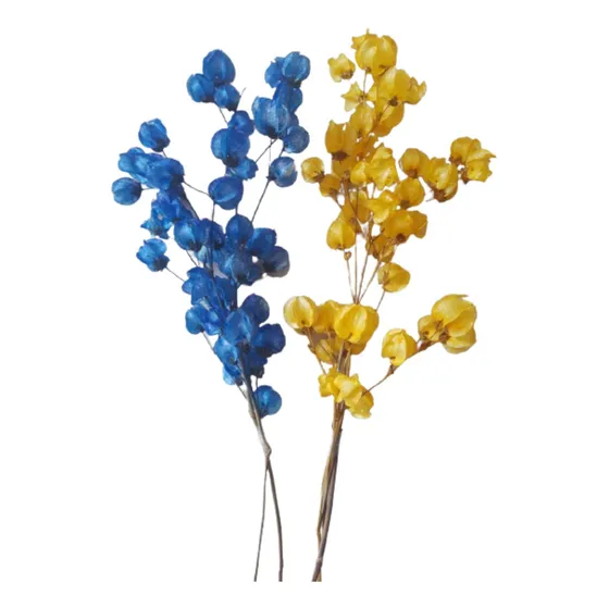 10 Maços Flores Primavera Bouganvílle Desidratada Decoração