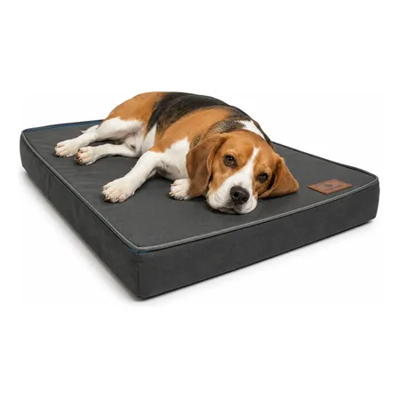 Cama Colchão Pet Colchonete Para Cães Lavável Resistente  M