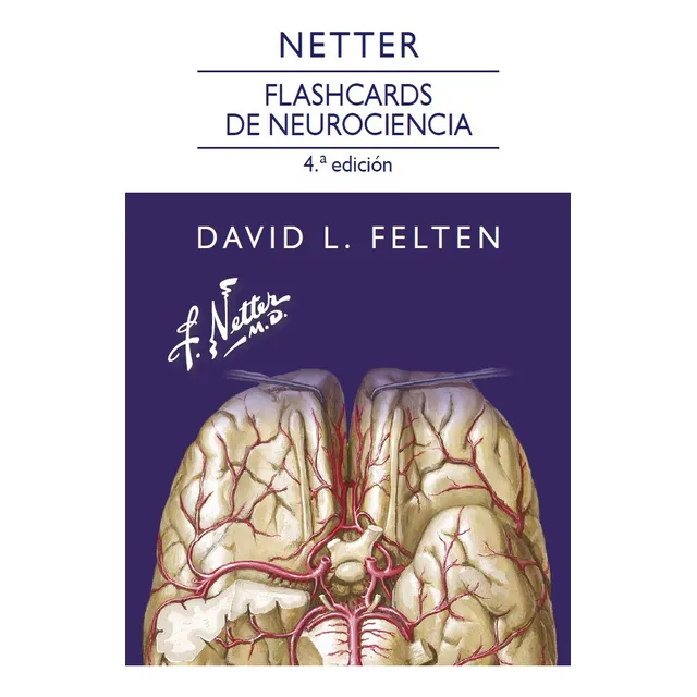 Netter. Flashcards De Neurociencia, 4.ª Edición