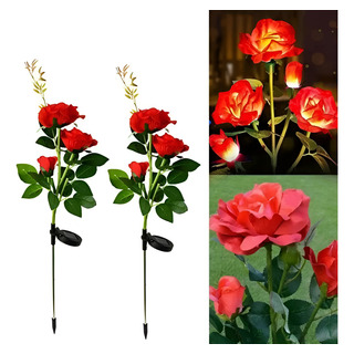 Rosa Con Luz Solar El Mas Bello Detalle Para Toda Mujer Rosa Con Luz Solar El Mas Bello Detalle Para Toda Mujer