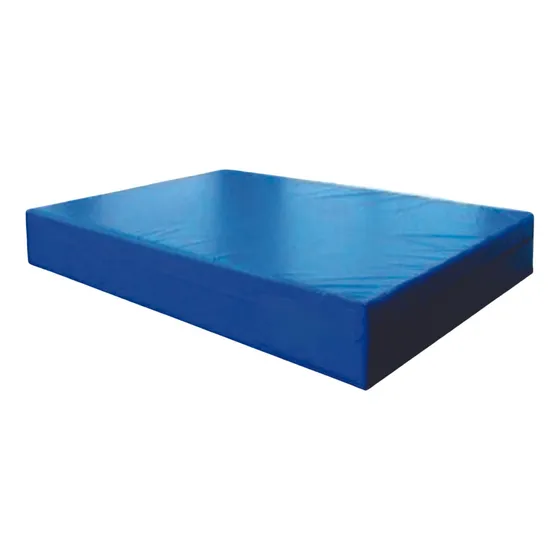 Colchão De Ginástica Artística 2mt X2mtx 20cm Altura - D33