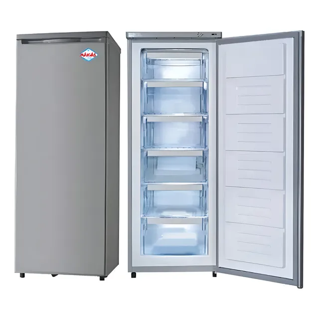 Congelador Vertical Maigas 182 Lts 6 Gavetas Color Gris