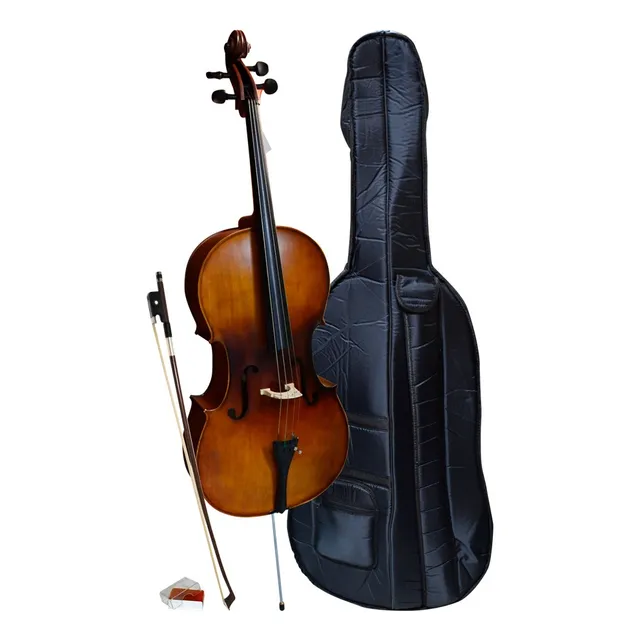 Cello Solido 4/4 Profesional Ce-120 C/funda Etinger