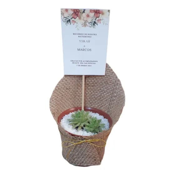 Souvenir Suculenta Matrimonio