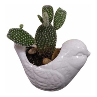 Maceta Paloma Minimalista Cactus Suculentas Pájaro Maceta Paloma Minimalista Cactus Suculentas Pájaro