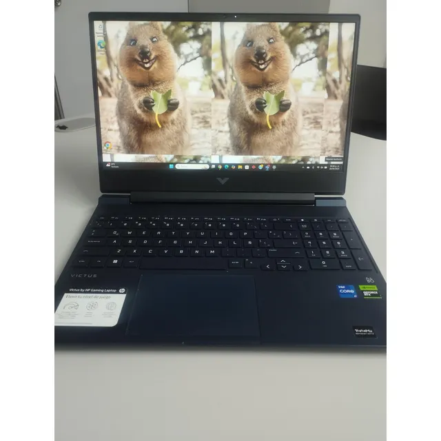 Laptop Hp Gaming Victus 15, Plateado