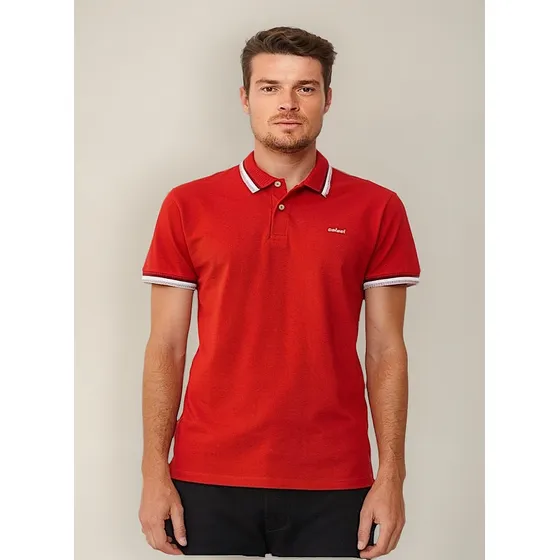 Camisa Polo Colcci Listras 100% Original Pronta Entrega 
