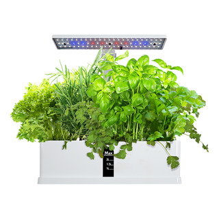 Kit Hydroponics Gg System Para Jardín De Hierbas Para Inter Kit Hydroponics Gg System Para Jardín De Hierbas Para Inter