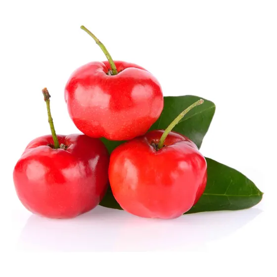 Árbol Acerola / Cereza De Barbados