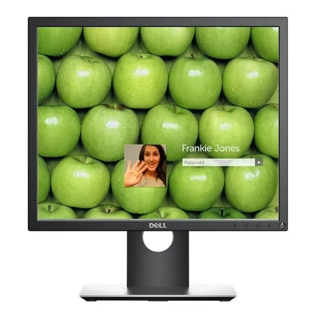 Monitor  Dell  Negro Led  P1917s