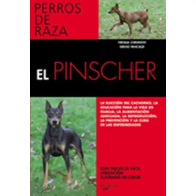 El Pinscher . Perros De Raza