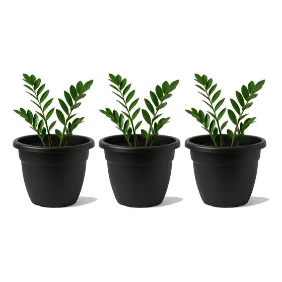 Pack X3u Maceta Plástica Redonda Edén 20cm Balcon Gemplast Color Gris Azabache | Cuotas sin interés