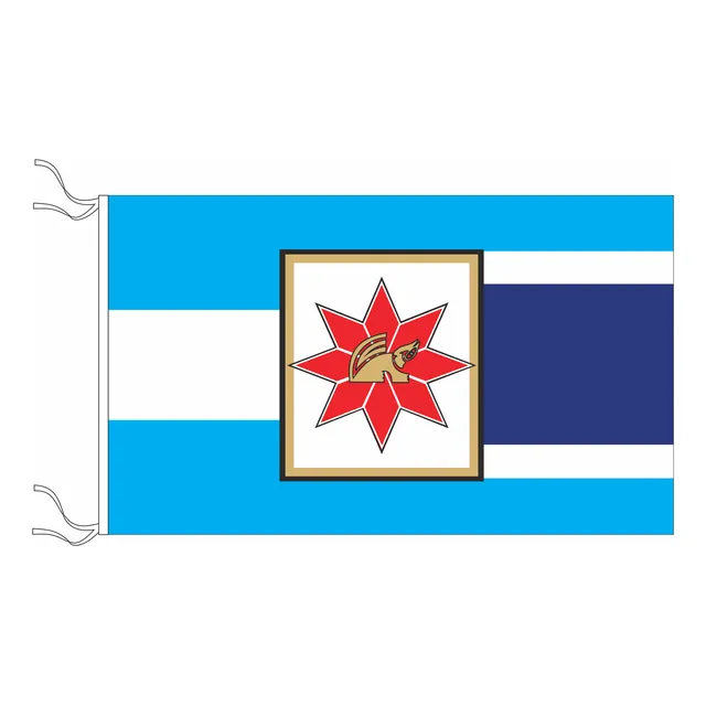 Bandera De Añatuya Estampada De Flameo 150x90cm