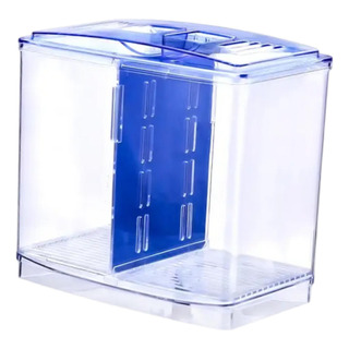 Pequeño Tanque De Beta Peces Betta Centros De Mesa De Pequeño Tanque De Beta Peces Betta Centros De Mesa De