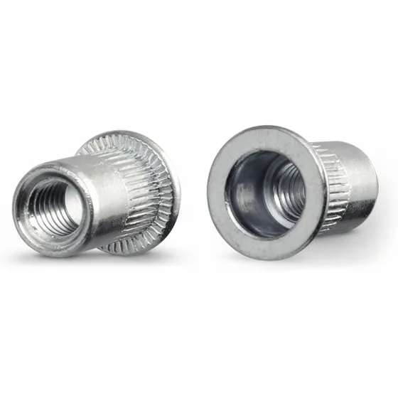 Rebite Rosca Interna M3 Porca Rebite Popnut C/ 100 Pecas