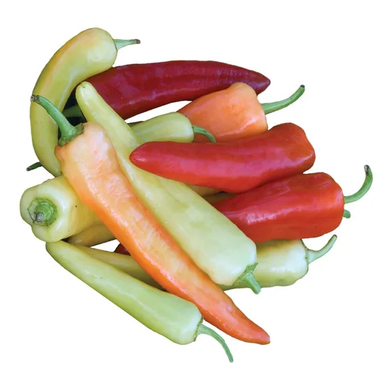 Burpee Semillas De Pimiento Dulce De Pltano Dulce 150 Semill