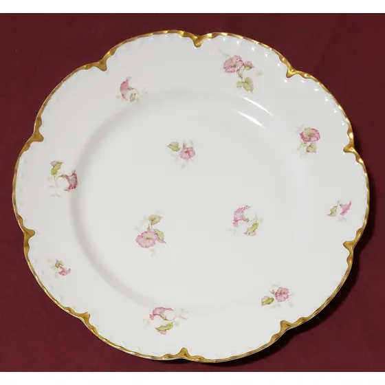 Plato Playo Porcelana Francesa Limoges Haviland 24.5cm Diám Verde