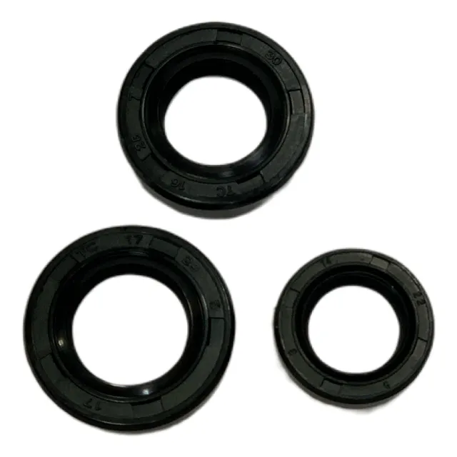 Kit Retenes Motor Honda Cb1 / Twister 125 Protech ( 16 - 28
