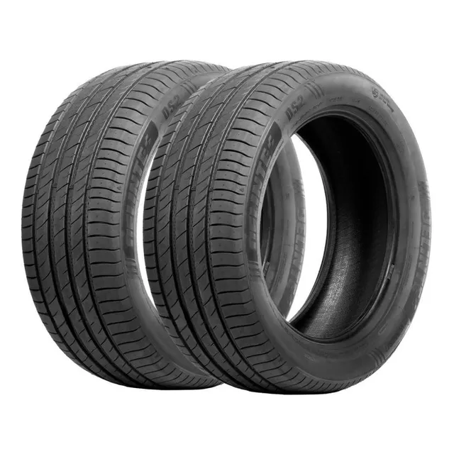Kit 2x Pneu Carro Fiat Stilo 205/55 Zr17 95w Xl Ds2 Delinte