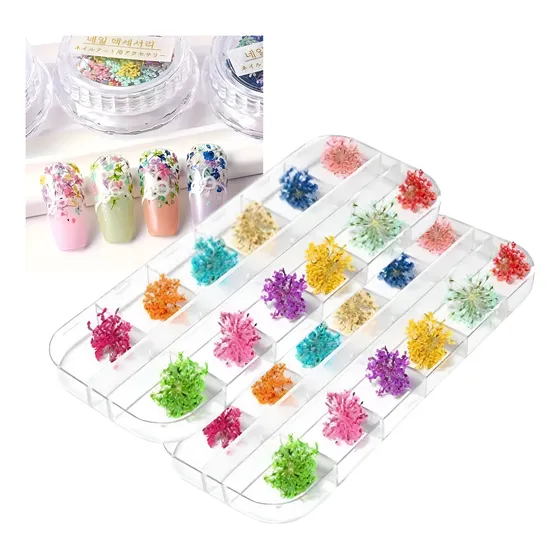 24 Unidade Flor Seca Natural Encapsulamento Unhas Decoração 