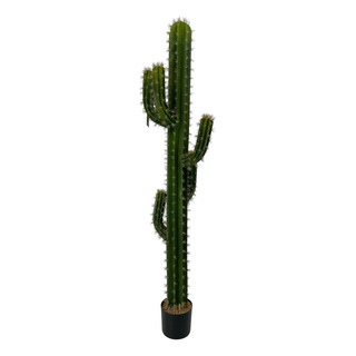 Cactus Planta Artificial De Apariencia Natural Cactus Planta Artificial De Apariencia Natural