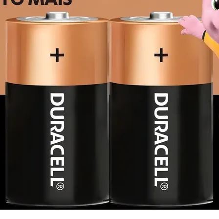 Pilha Alcalina D Grande Duracell Com 2 Unidades