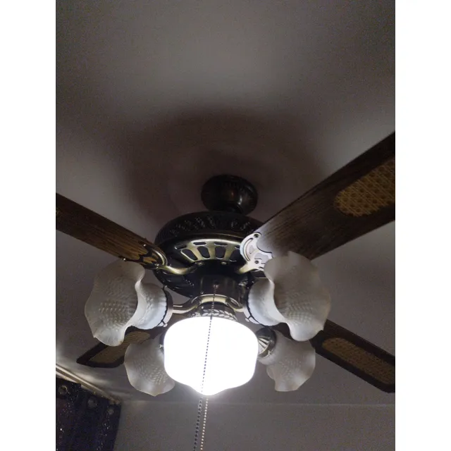 Ventilador De Techo Usado Totalmente Funcional, 5 Bombillos