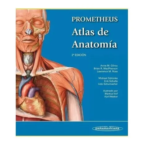 Prometheus Atlas De Anatomía - Anne Gilroy  Panamericana 70$