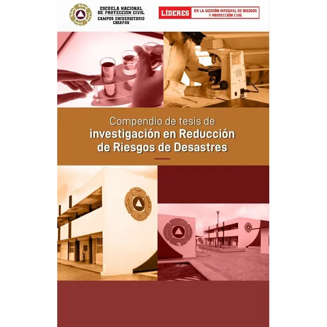 Compendio De Tesis De Investigación En Reducción De Riesg...