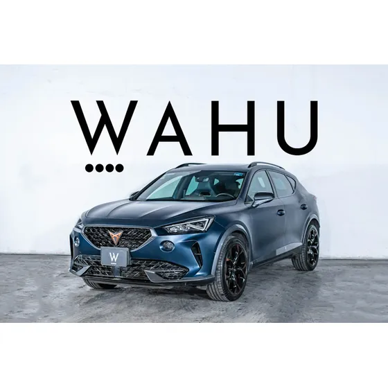Cupra Formentor 2.0 Vz 310hp 4wd Dsg7