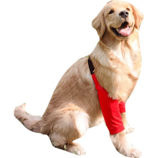 Codera Para Perros, Para Aliviar El Dolor, Antilamidas, Sopo Codera Para Perros, Para Aliviar El Dolor, Antilamidas, Sopo