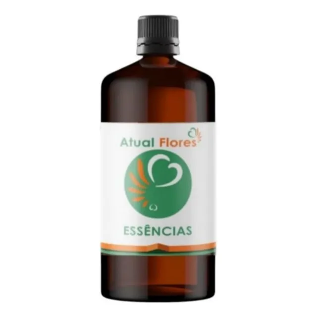 Essência Concentrada P/ Aromatizadores 1 Litro Daslu 
