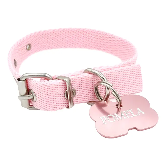 Chapitas Perros Hueso Rosa + Collar Rosa De 2*45cm