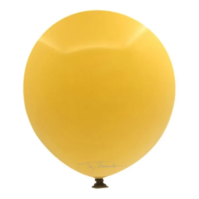 Pack 50 Globos R10 Colores Retro Fiestas Decoración Cotillón