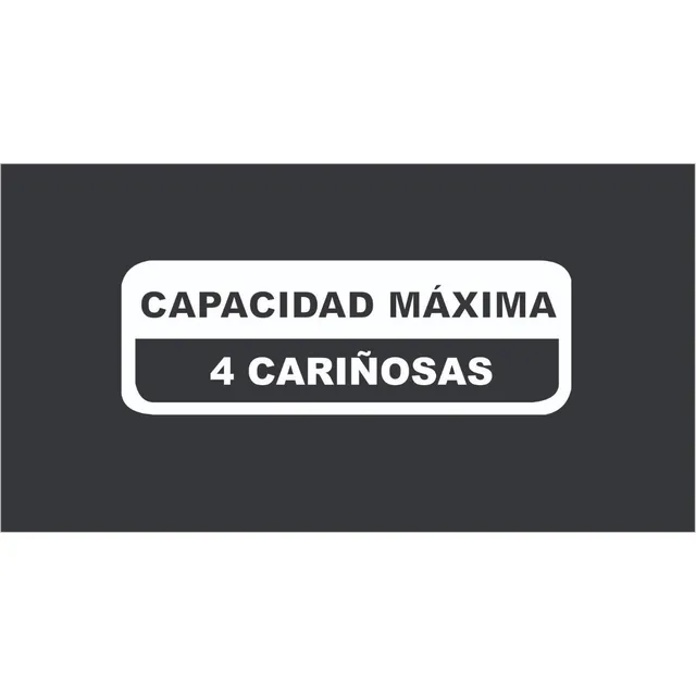Sticker Adhesivo Para Auto Capacidad Máxima 4 Cariñosas