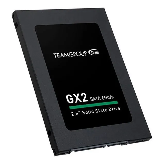 Disco sólido interno Team Group GX2 T253X2256G0C101 256GB negro