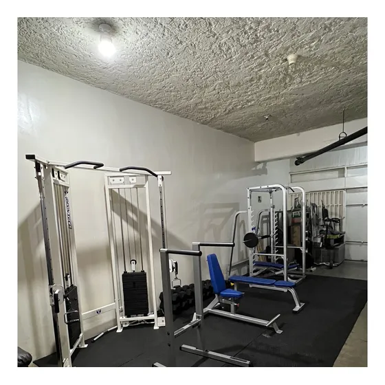 Gimnasio Profesional Importado