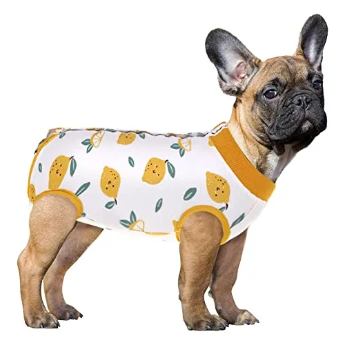 Sawmong Dog Recovery Suit, Recovery Suit For Dogs V4sbn