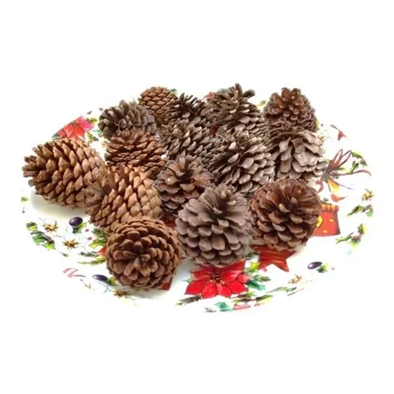 50 Piñas De Pino Grandes - Naturales - Decoración Navideñas