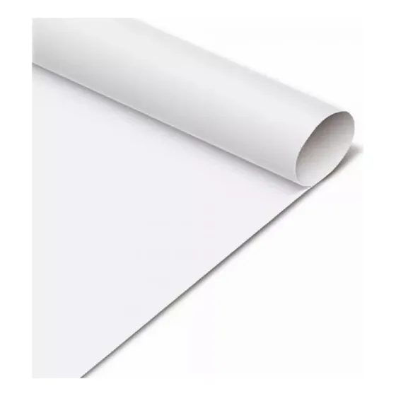 Cartulina Bristol Pliego X 10 Und