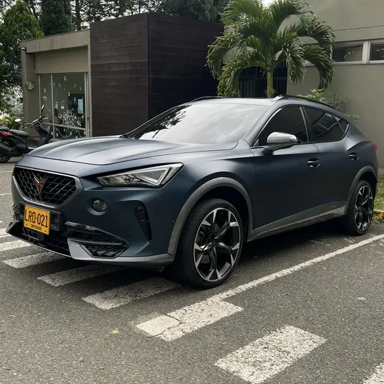Cupra Formentor 2023 2.0 Tsi Mate Dsg